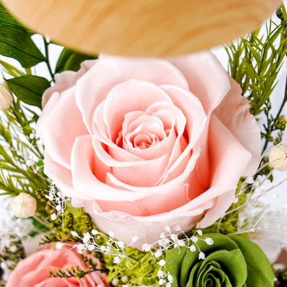 (Missing Phase) The Flora Sanctuary | Warm-Glow Everlasting Rose Glass Dome Night Light