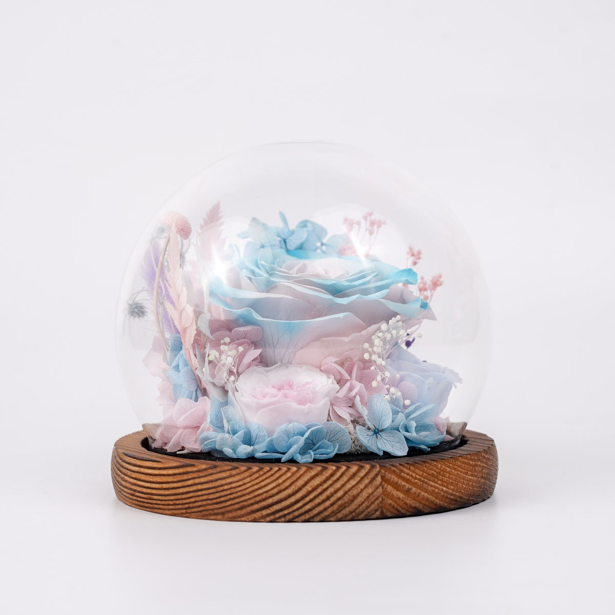 海洋之歌・雲端花語 (Cloud Reverie)｜粉藍漸層玫瑰玻璃罩花禮