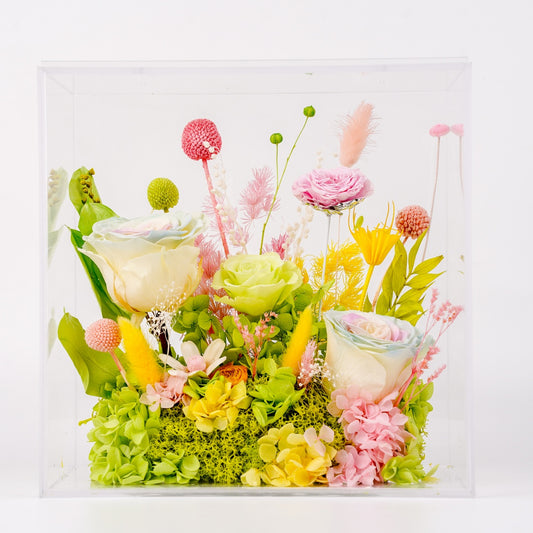 春意盎然・花間晴日 (Garden Sunshine)｜春色玫瑰透明方形花盒