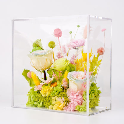 春意盎然・花間晴日 (Garden Sunshine)｜春色玫瑰透明方形花盒