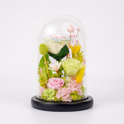 春意盎然・初芽花語 (First Bloom)｜春色玫瑰高身玻璃罩花禮