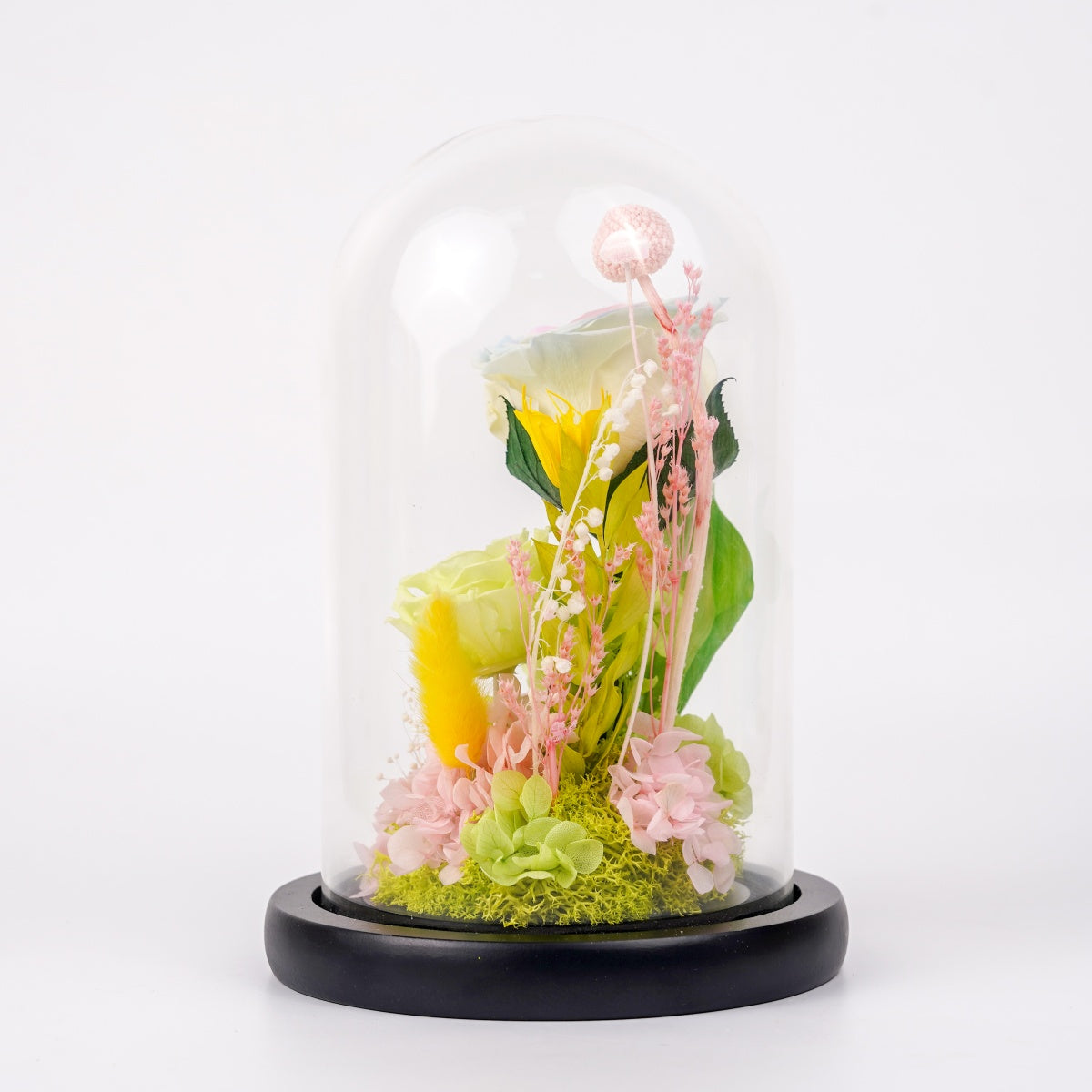 春意盎然・初芽花語 (First Bloom)｜春色玫瑰高身玻璃罩花禮