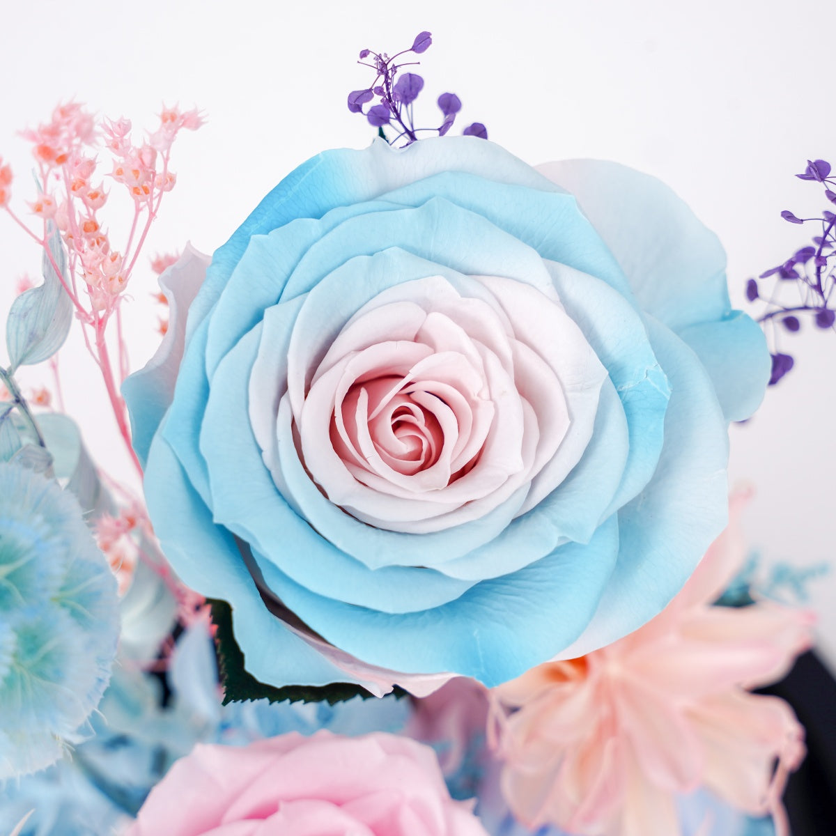 海洋之歌・碧海浮夢 (Azure Reverie)｜粉藍漸層玫瑰高身玻璃罩花禮