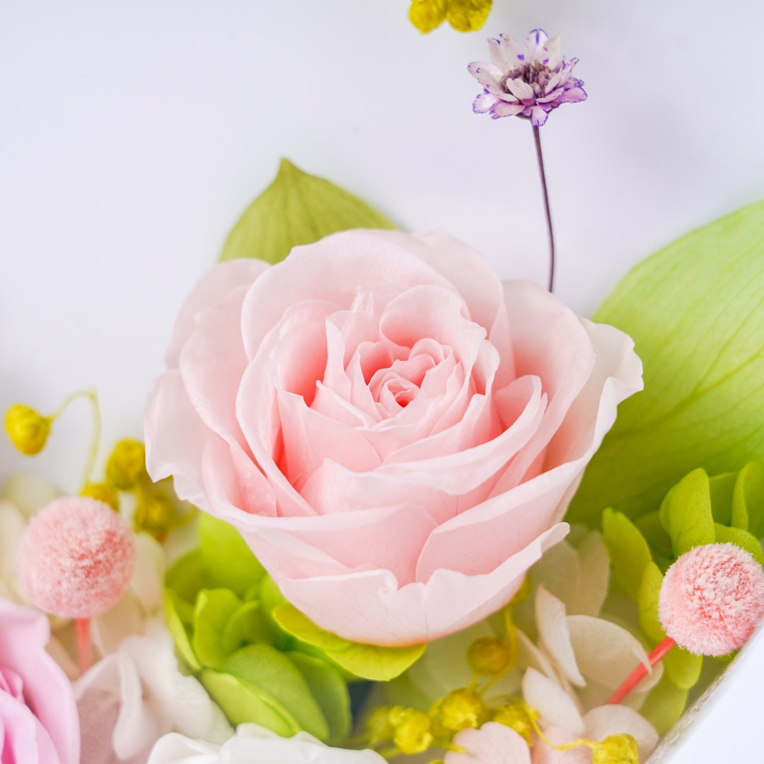Spring Heartbeat
