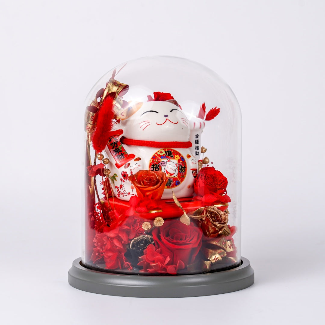Red Cat Brings Good Fortune