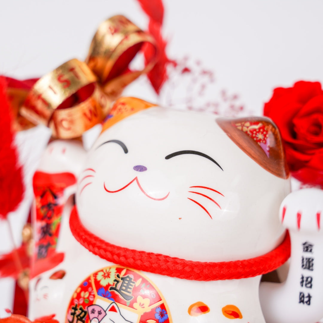 Red Cat Brings Good Fortune