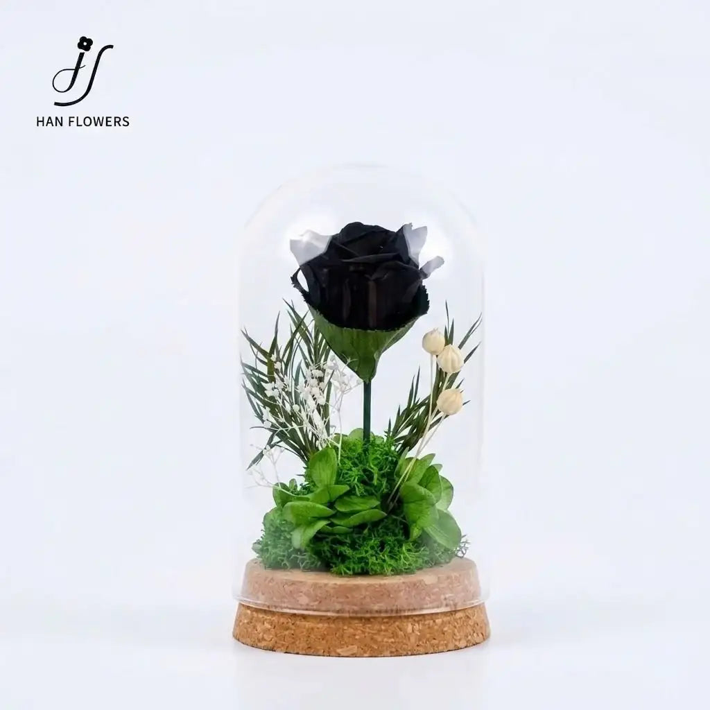 The Only One | The Little Prince Classic Single Preserved Red Rose in a Glass Dome
