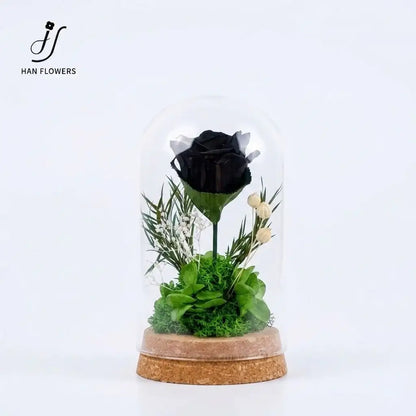 The Only One | The Little Prince Classic Single Preserved Red Rose in a Glass Dome