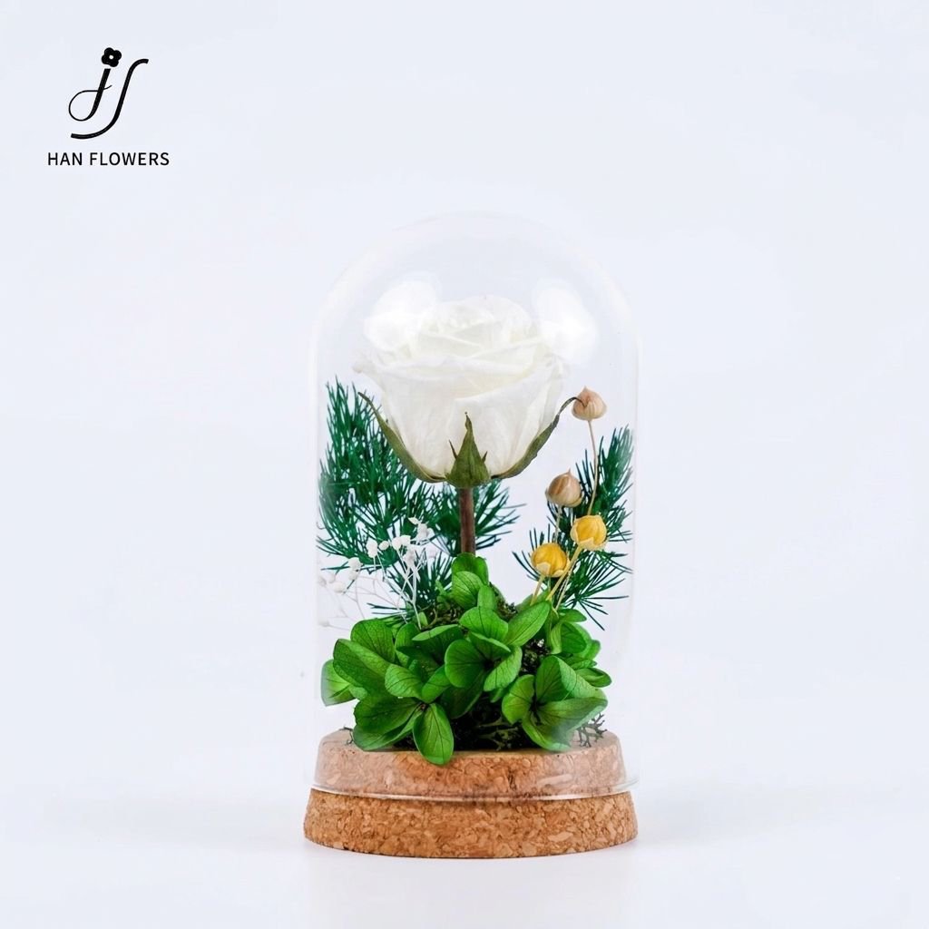 The Only One | The Little Prince Classic Single Preserved Red Rose in a Glass Dome