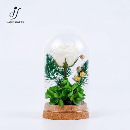 The Only One | The Little Prince Classic Single Preserved Red Rose in a Glass Dome