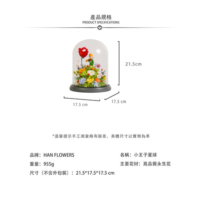 永生花 小王子星球