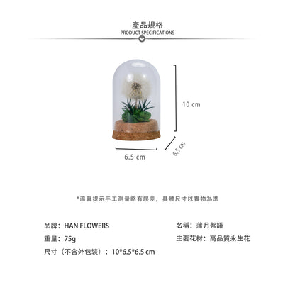 永生花 蒲月絮語
